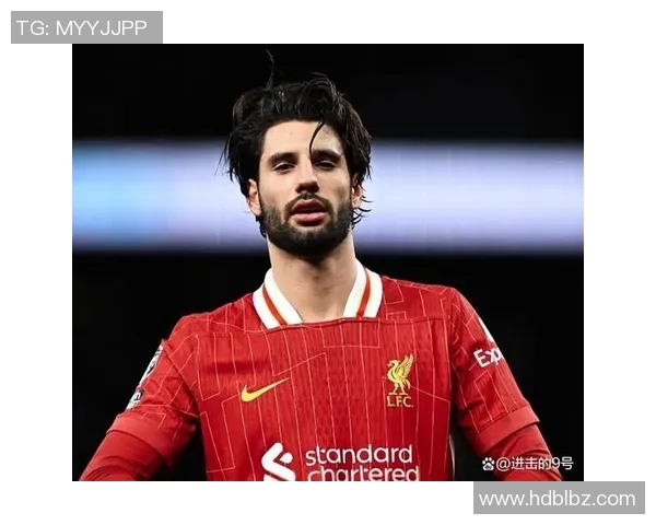 探索索博斯洛伊的历史与文化遗产及其对现代社会的影响与启示