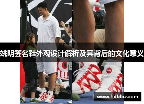 姚明签名鞋外观设计解析及其背后的文化意义