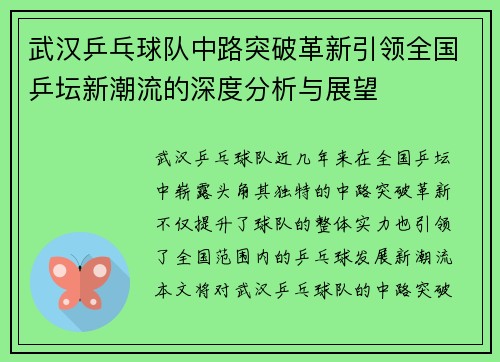 武汉乒乓球队中路突破革新引领全国乒坛新潮流的深度分析与展望