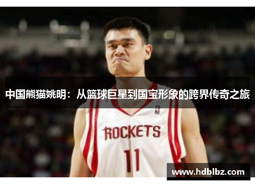 中国熊猫姚明：从篮球巨星到国宝形象的跨界传奇之旅
